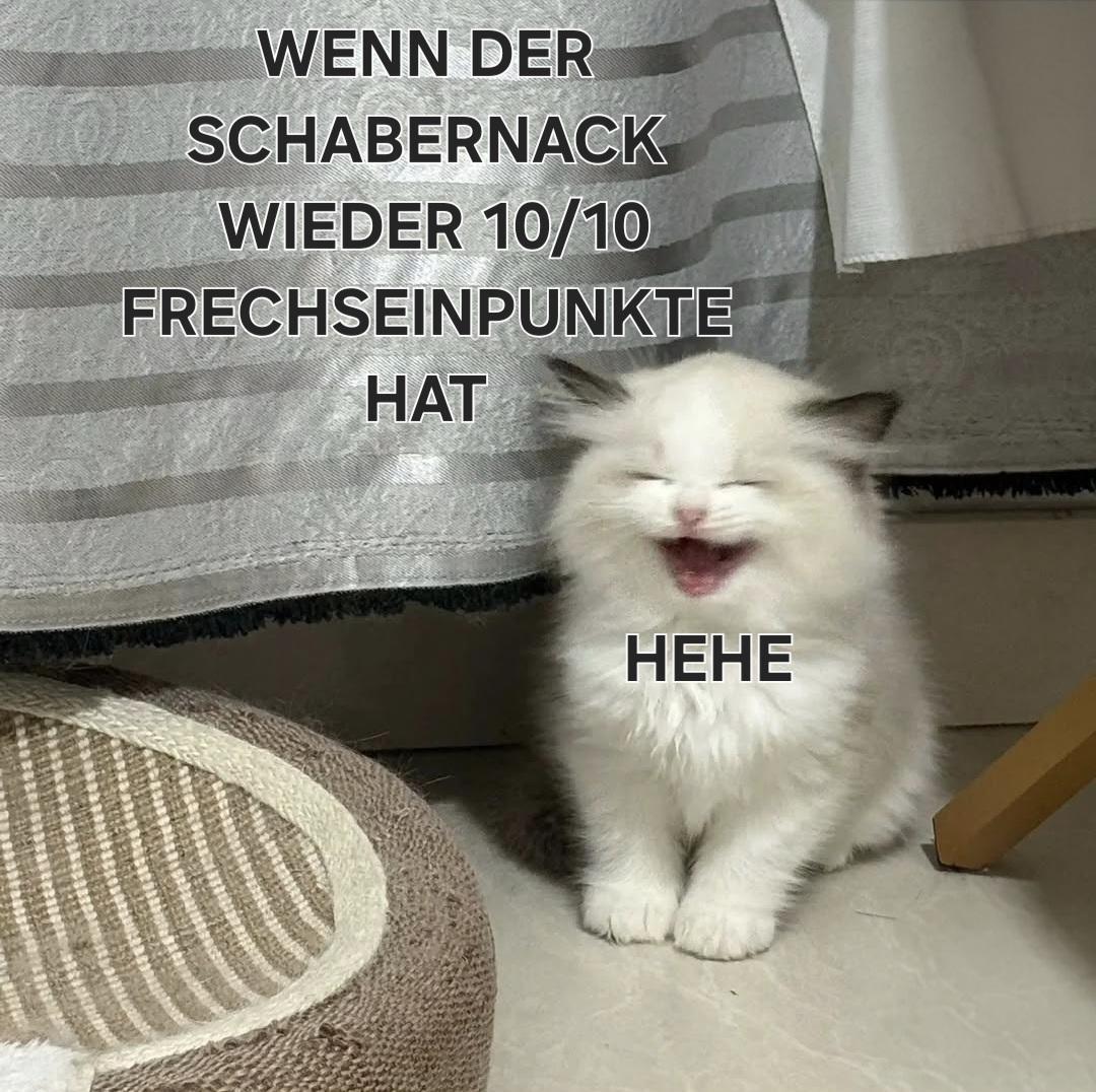 20251113-214838-BonuslochConnaisseur69-i