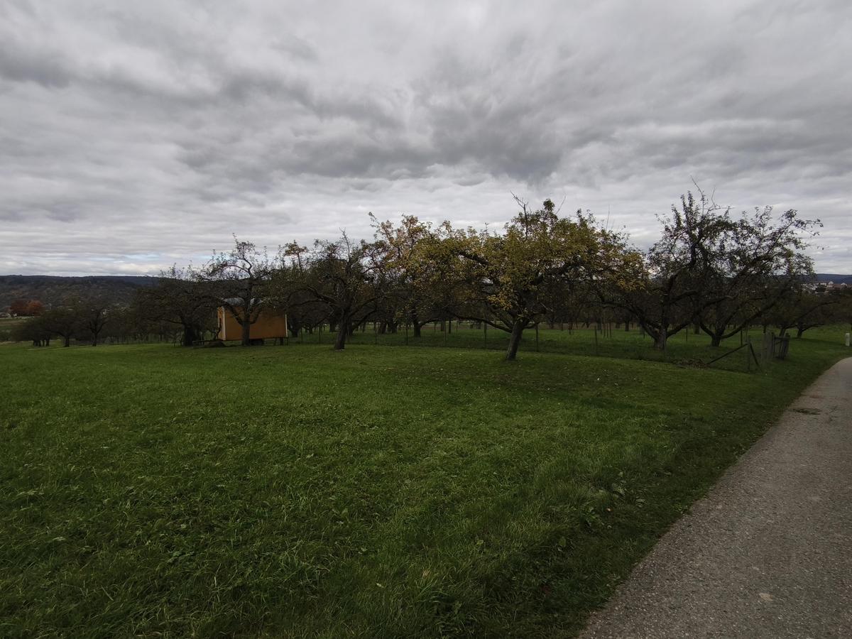 IMG 20251015 143016