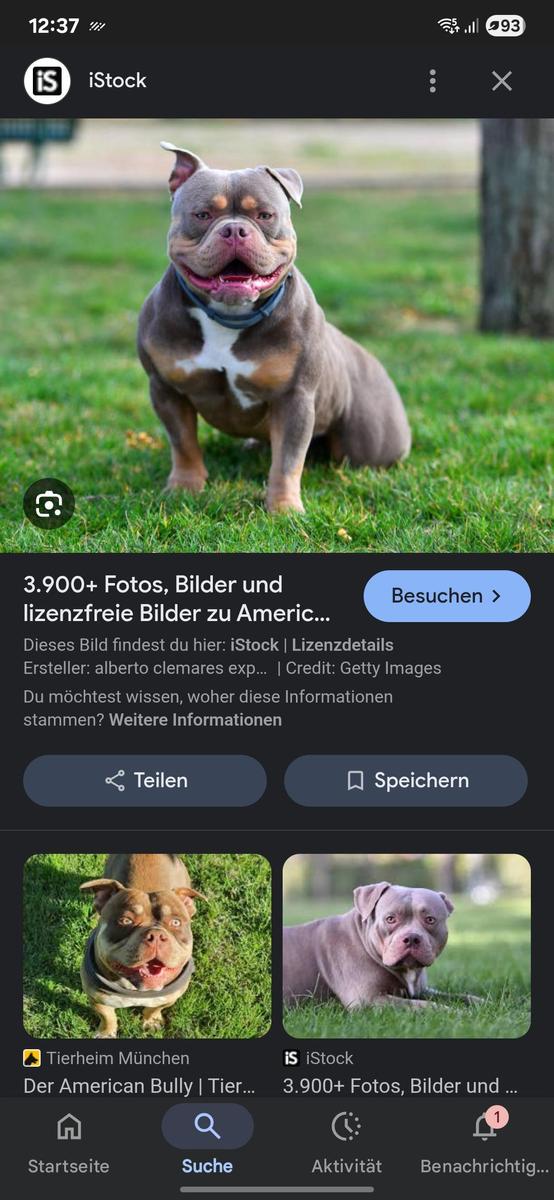Screenshot 20250525 123728 Google