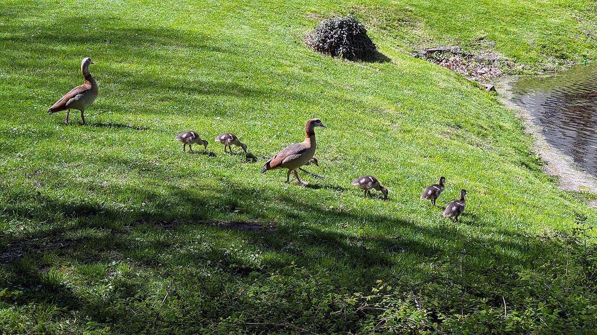 abc83643-ce16-464d-891f-33a9978fb258