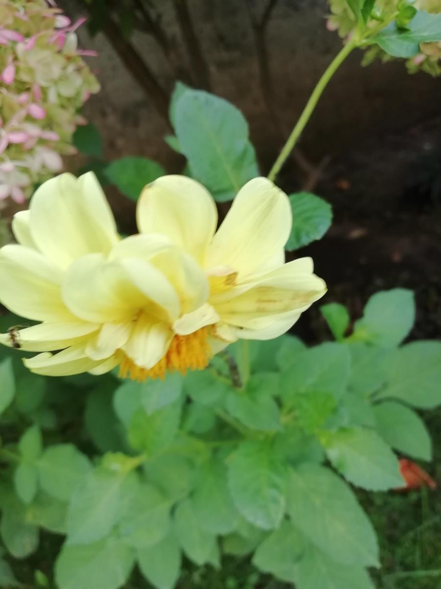 IMG 20250921 093350