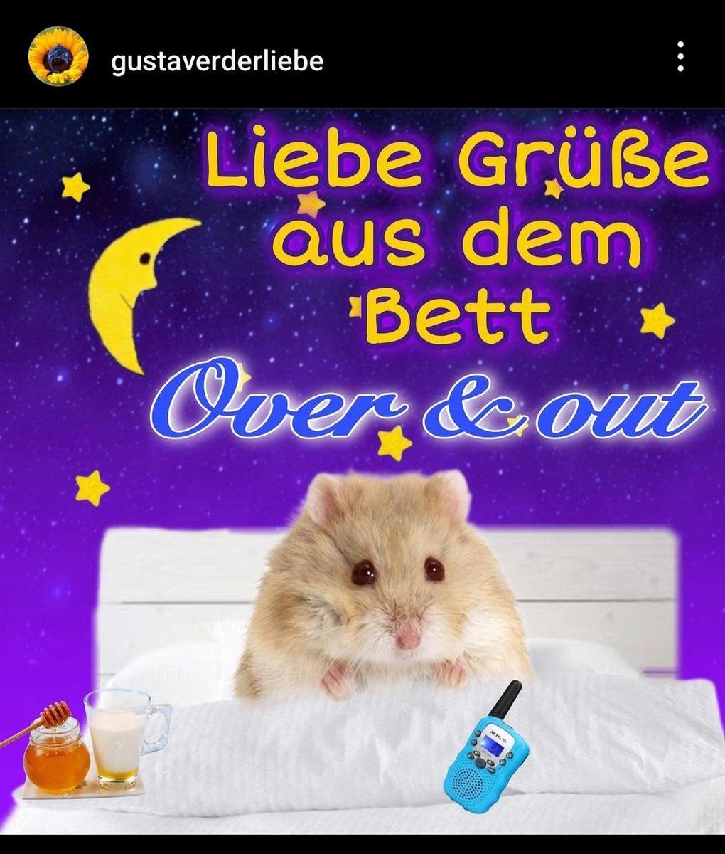 Screenshot 20230809 230143 Instagram