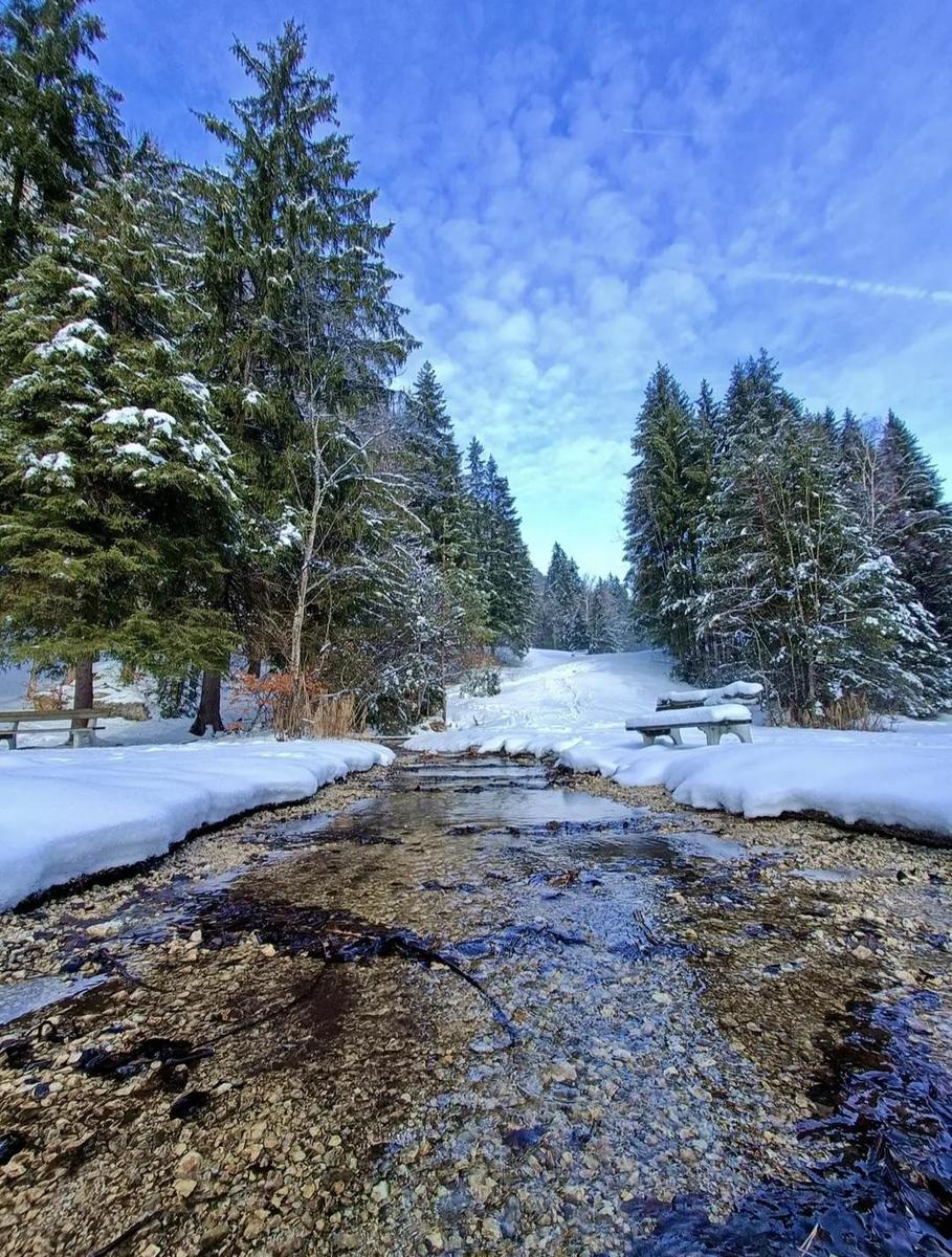 Screenshot 20260113 202005 Chrome