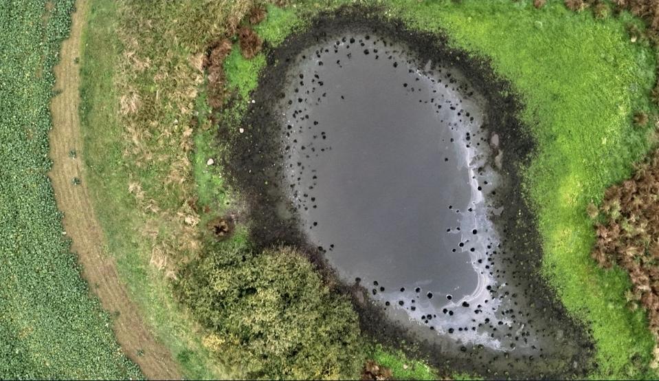 Screenshot 20251105 212321 Chrome