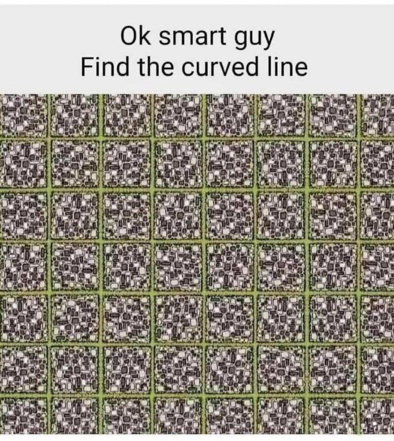 6823469-fd25bfccc276c1ffe22b333497c20373