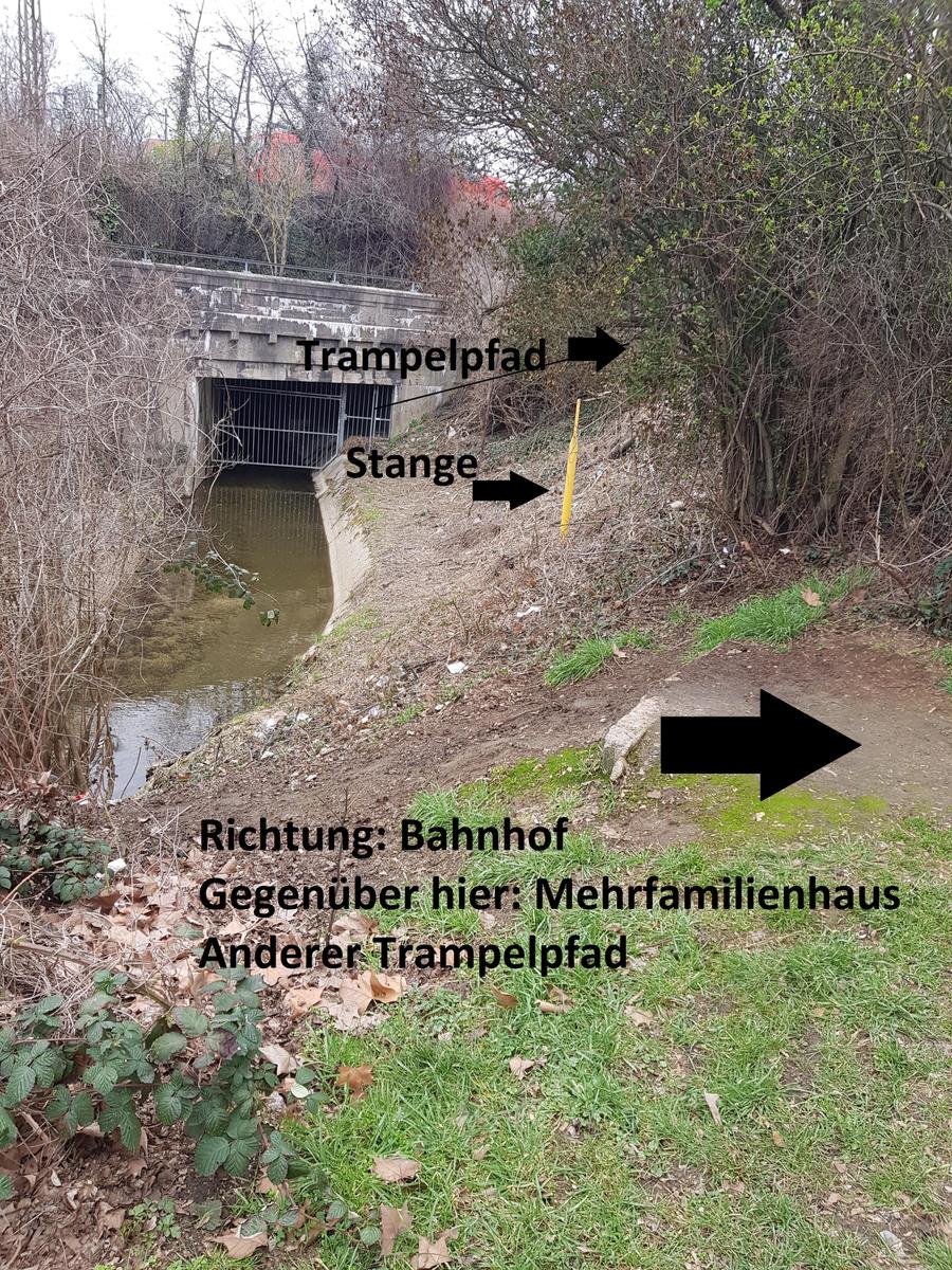 w90nksditu7f 20210323 113751
