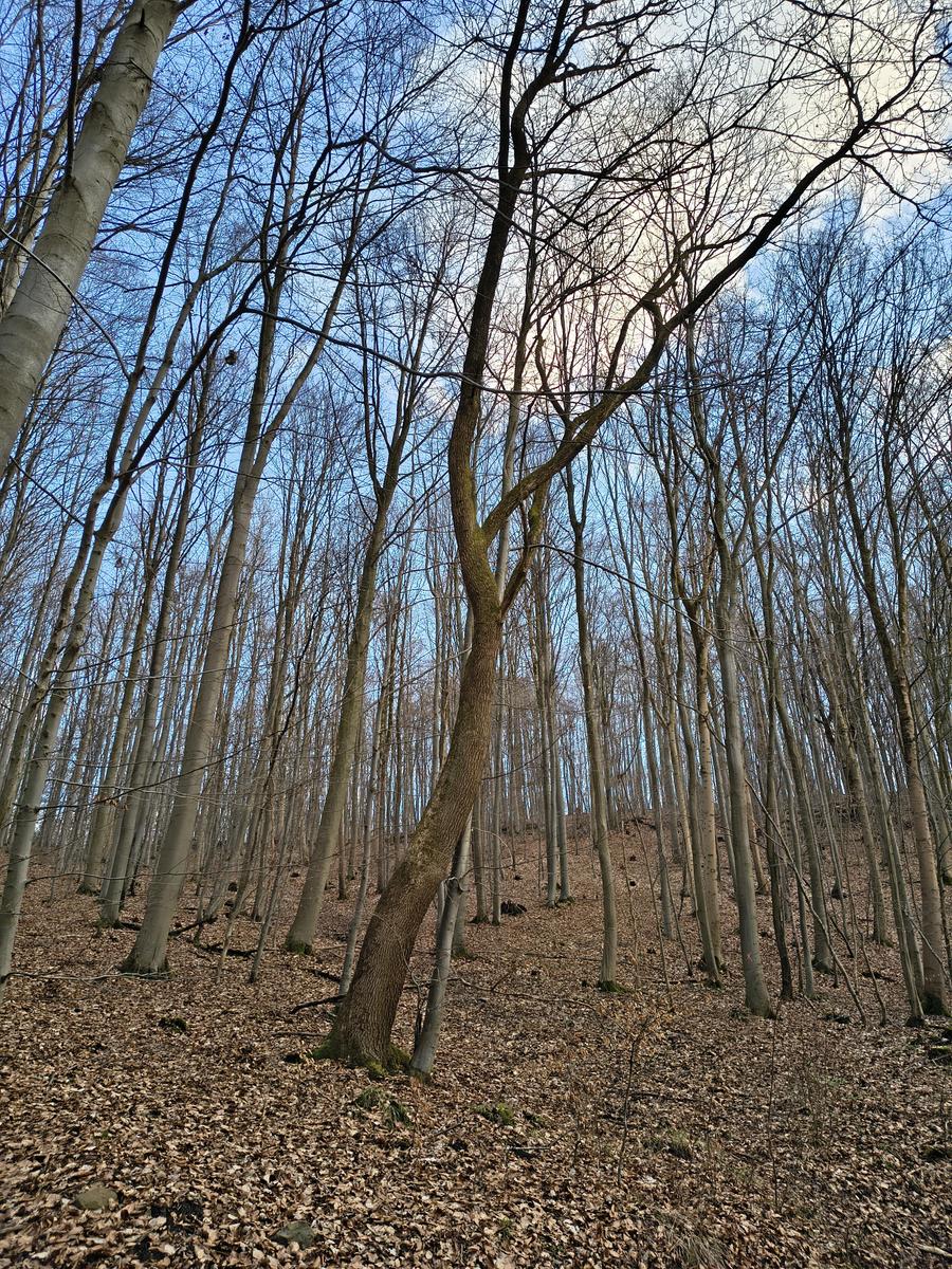 IMG 20260228 165326481 HDR