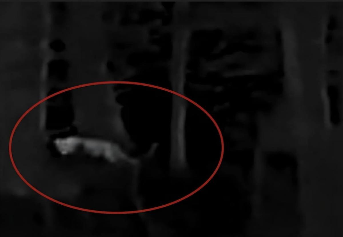 Screenshot 20251112 155759 Samsung Inter