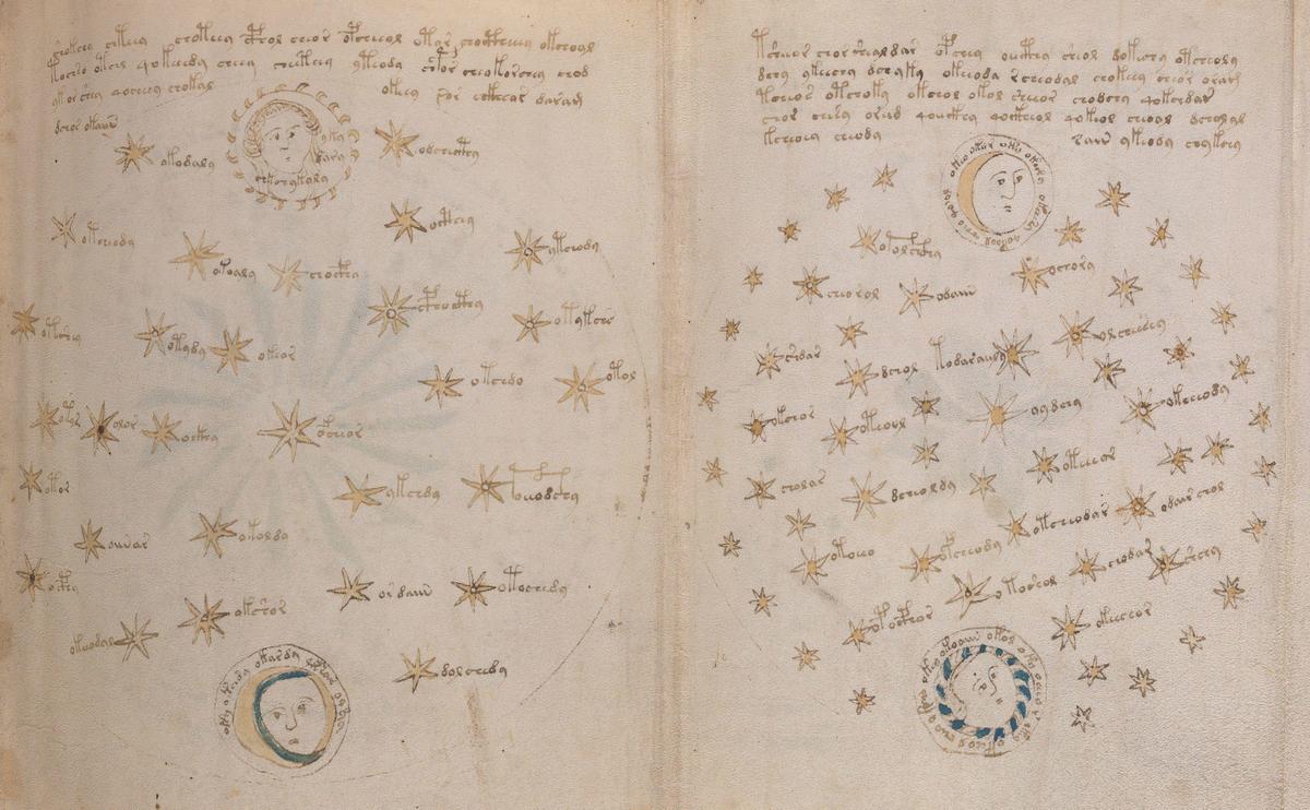 Voynich68r Auszug