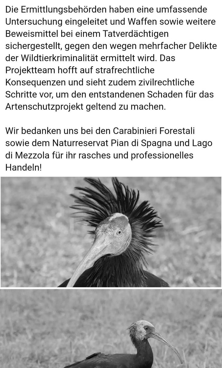 Screenshot 20251031 174240 Chrome