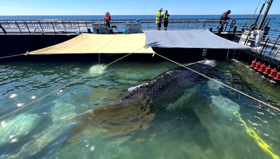 Screenshot 2026-04-30 022557