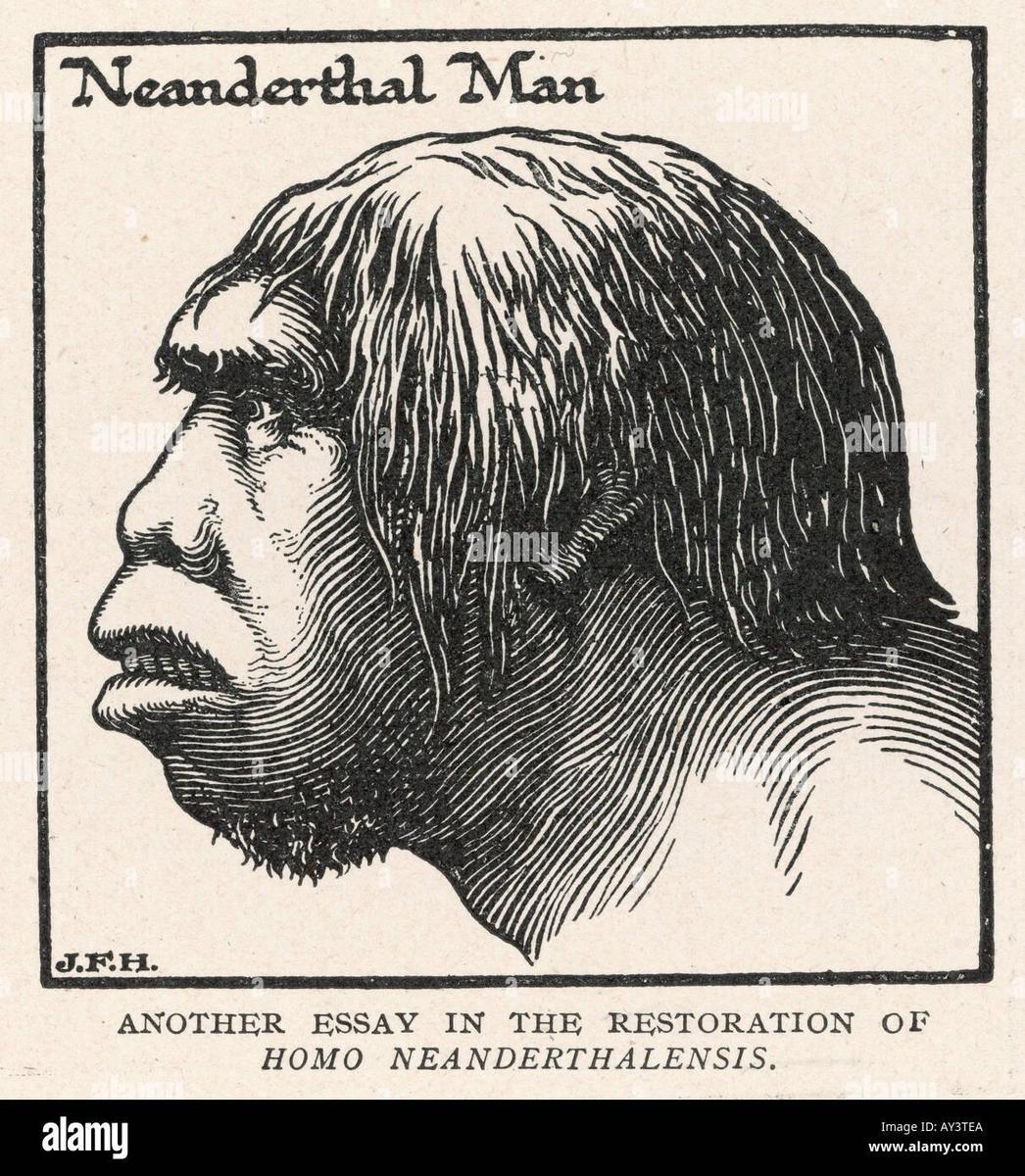 neandertaler-profil-ay3tea