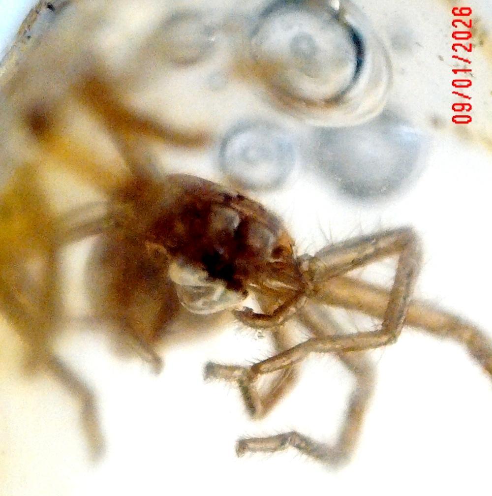 2026 0109 211313 002