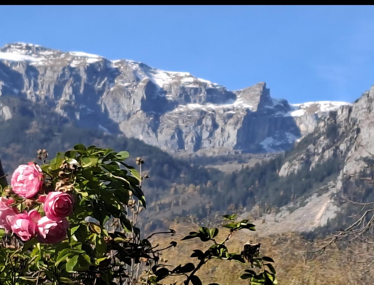 Screenshot 20251120 075515 Gallery