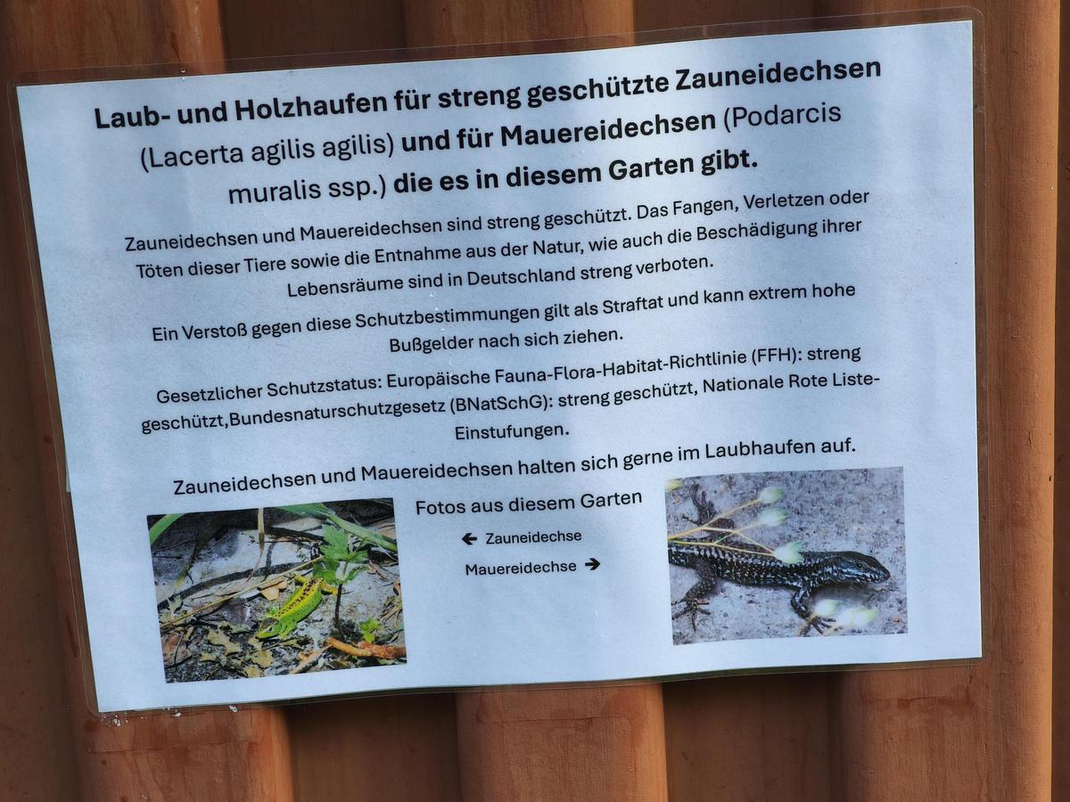 IMG 20260709 064447