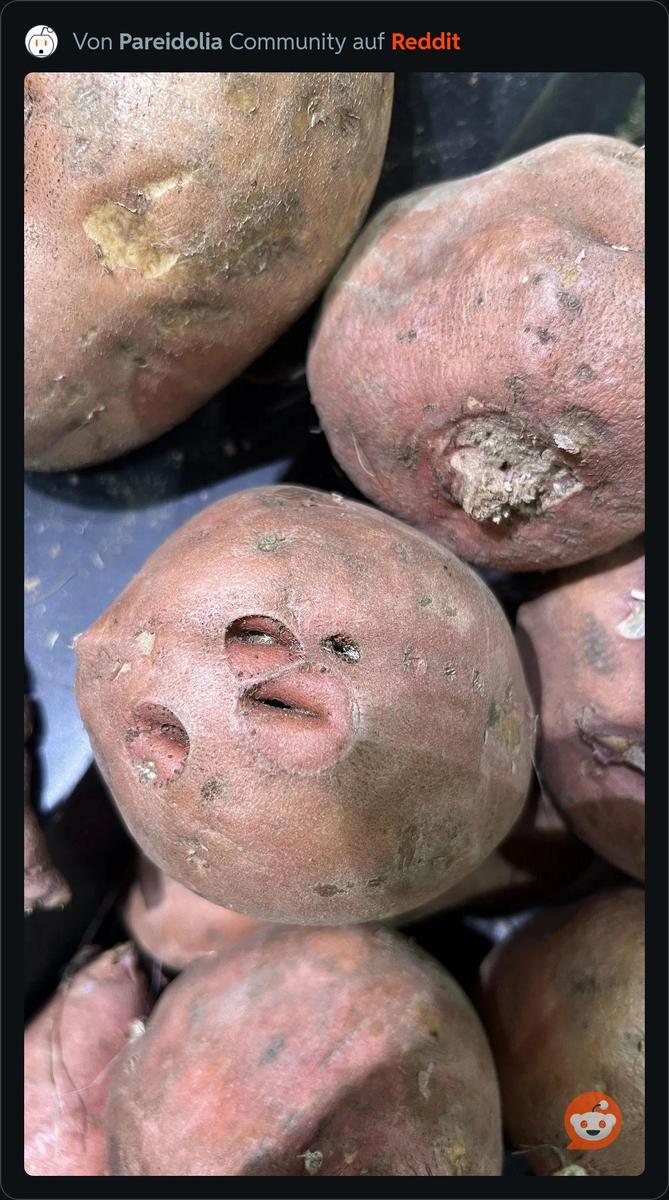 RDT 20251028 2355433222377065093054176