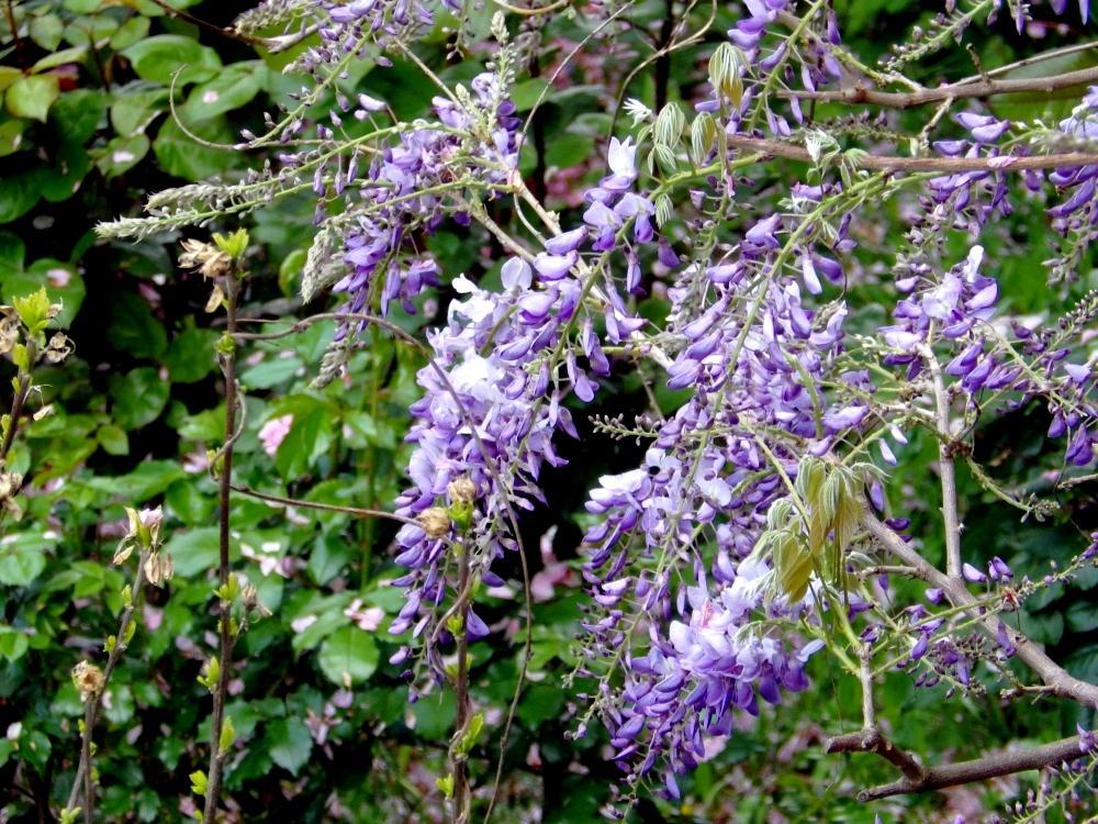 IMGP0850