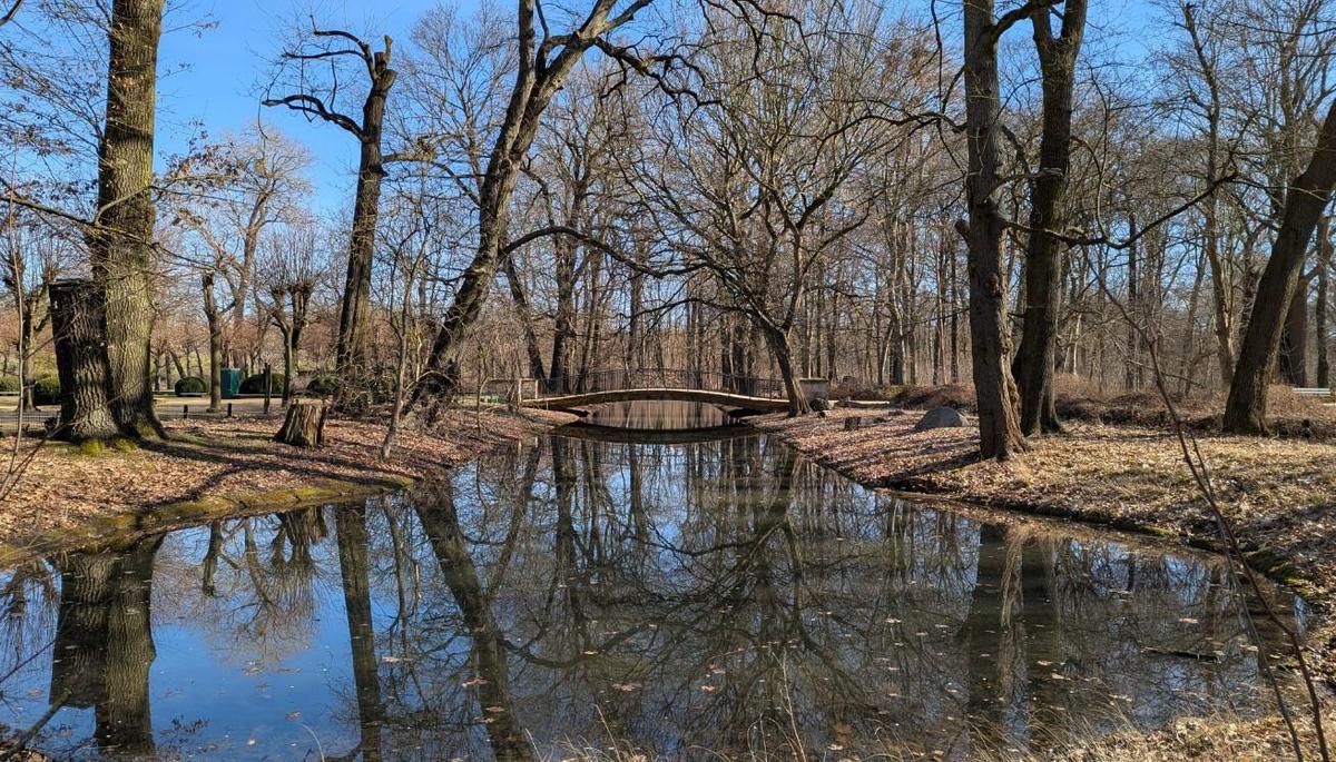 895b8173-c7de-44ac-8088-48fd7c2362c8 cop