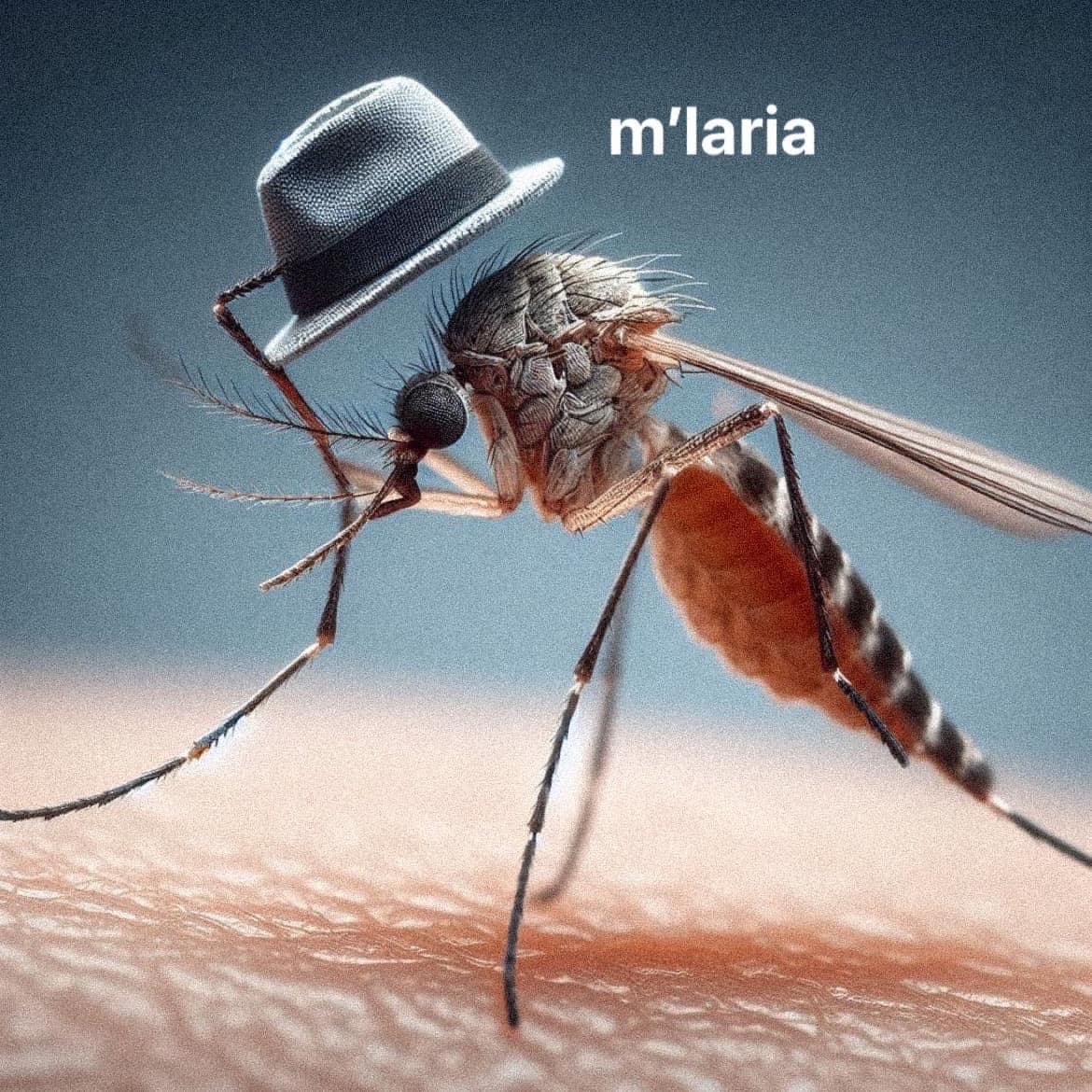 malaria