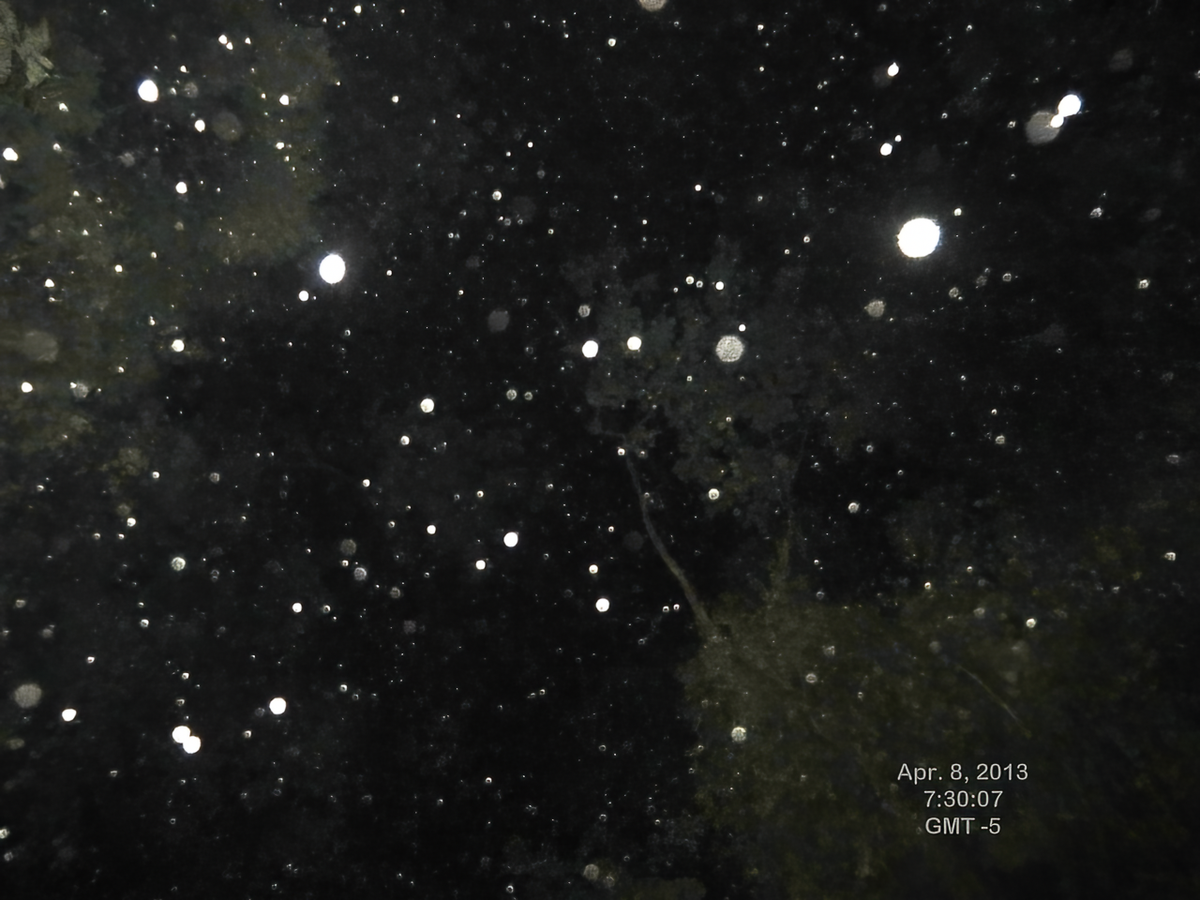 IMG 0511 TS EXIF AI 8b