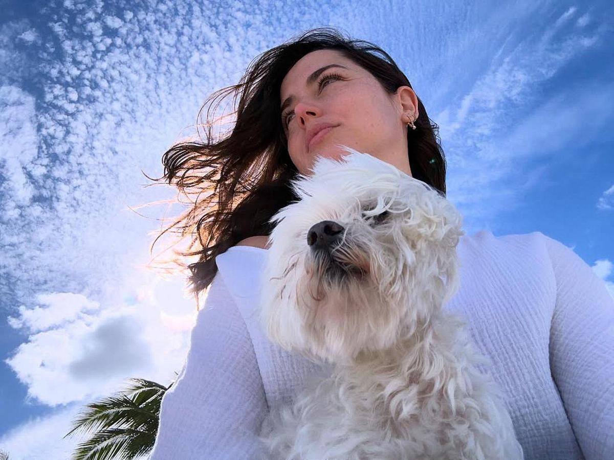 hollywuff-ana-de-armas-elvis