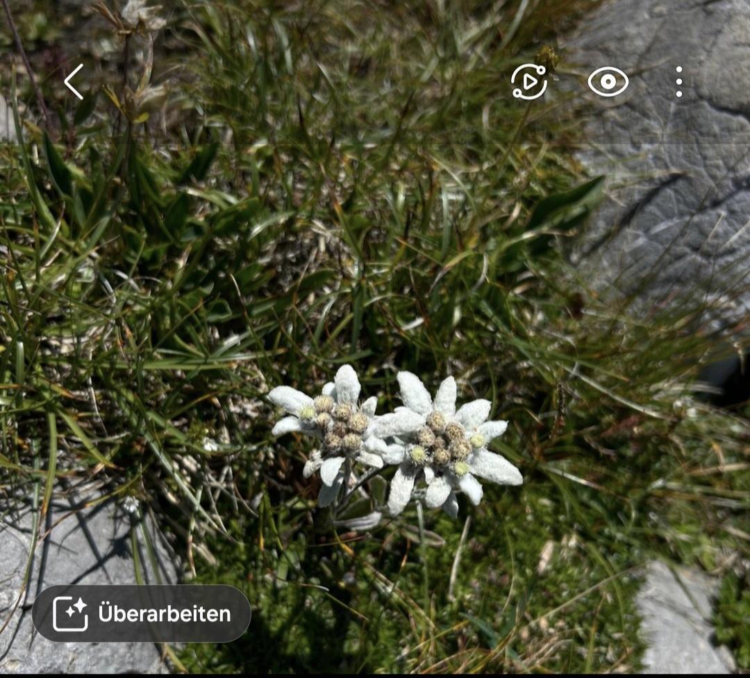 Screenshot 20250821 091633 Gallery
