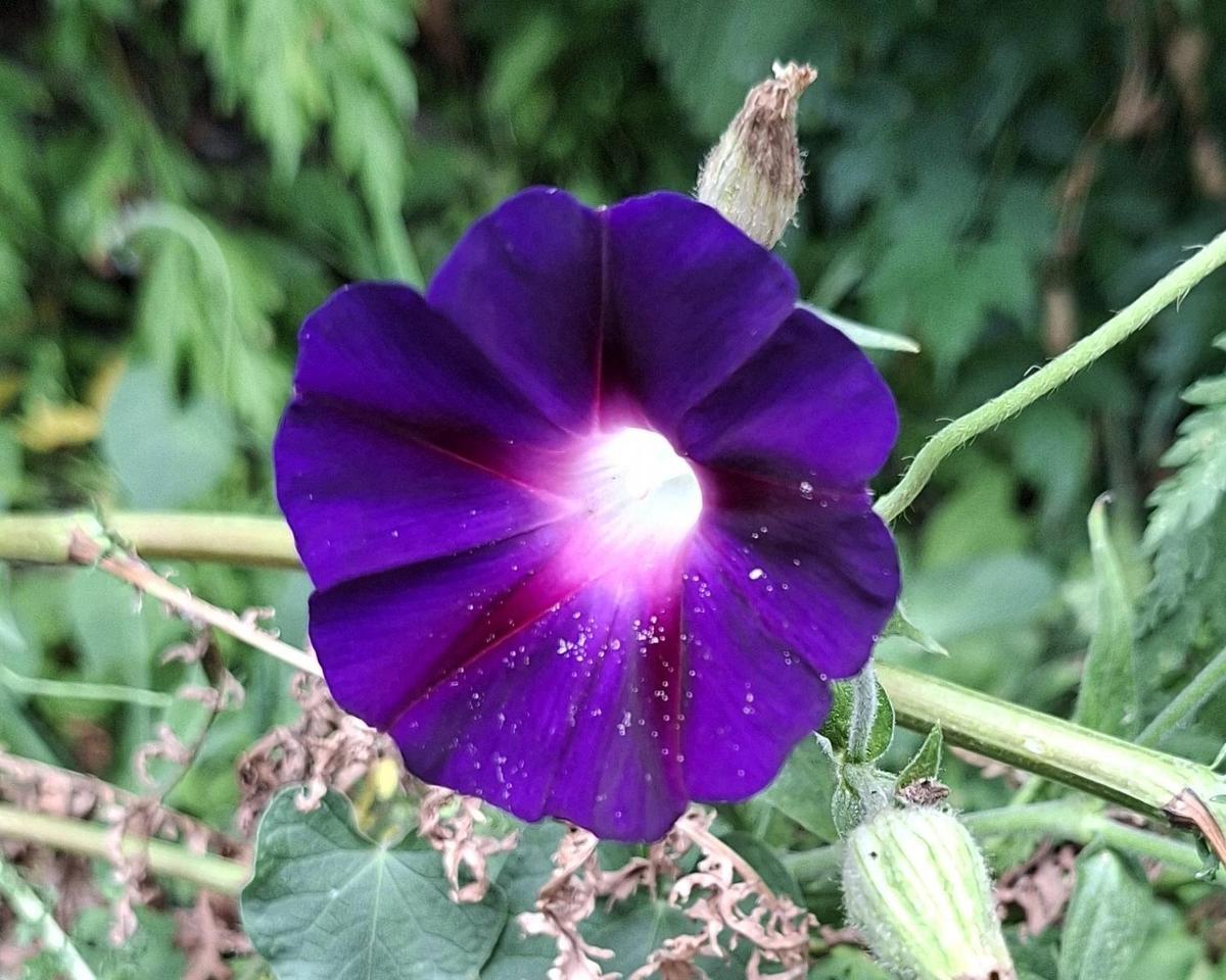 xx01
