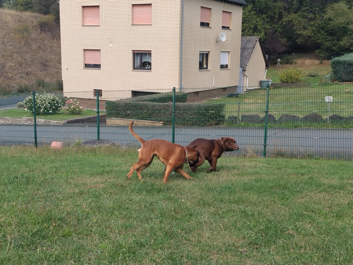 IMG 20260901 145853