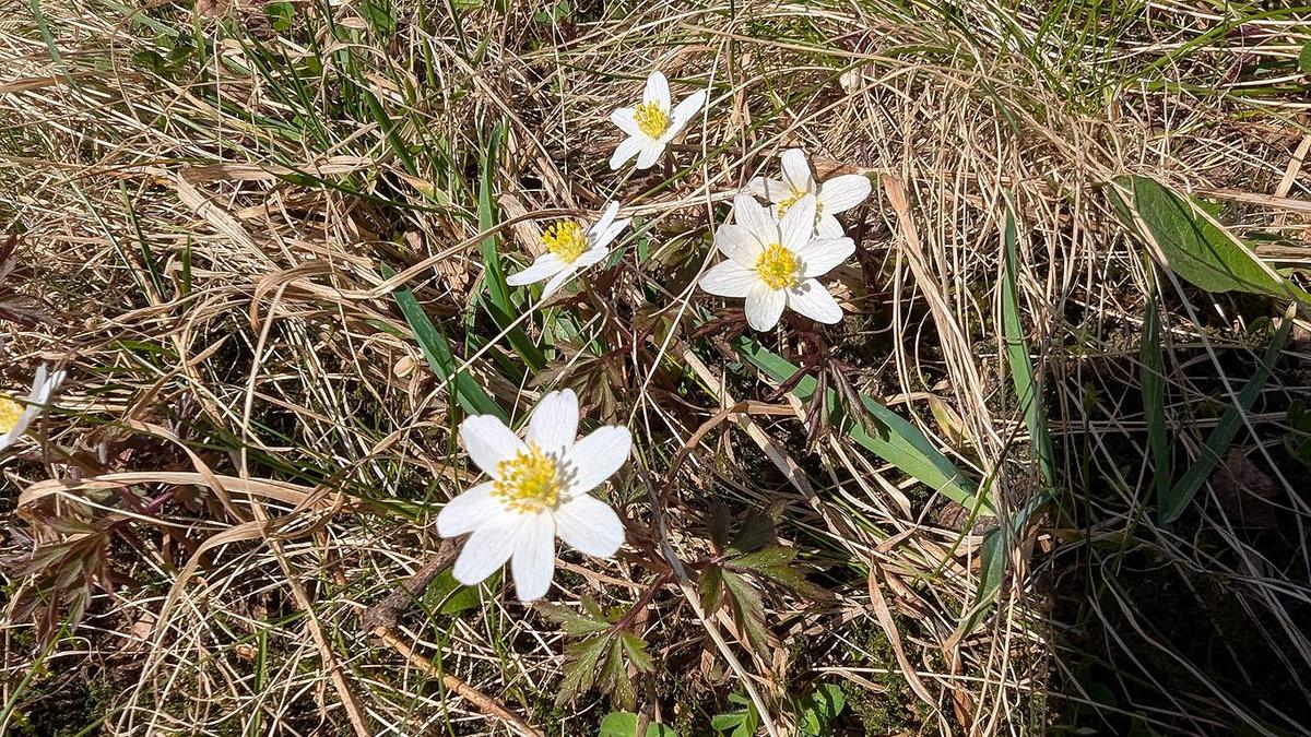 fedc7c4f-4308-4c1c-a7b2-8d5609d98191