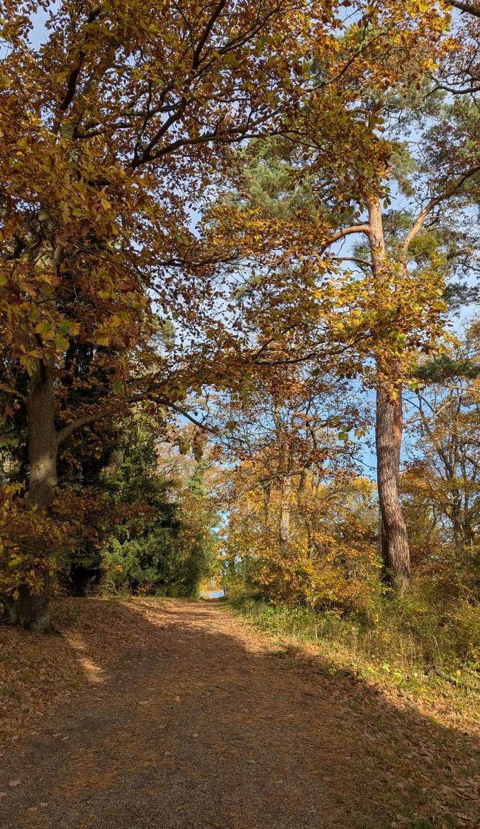 50ed4ce3-5627-4187-a515-4c926f661cfe