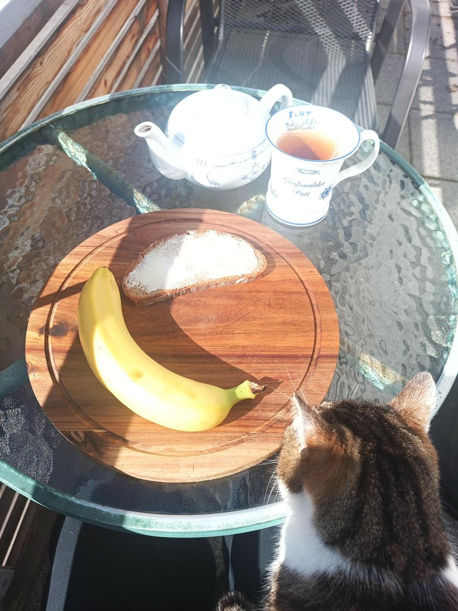 IMG 20260425 093239 894