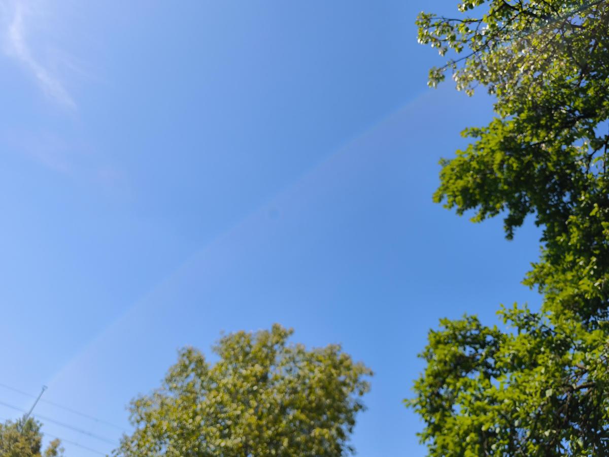IMG 20260523 110756