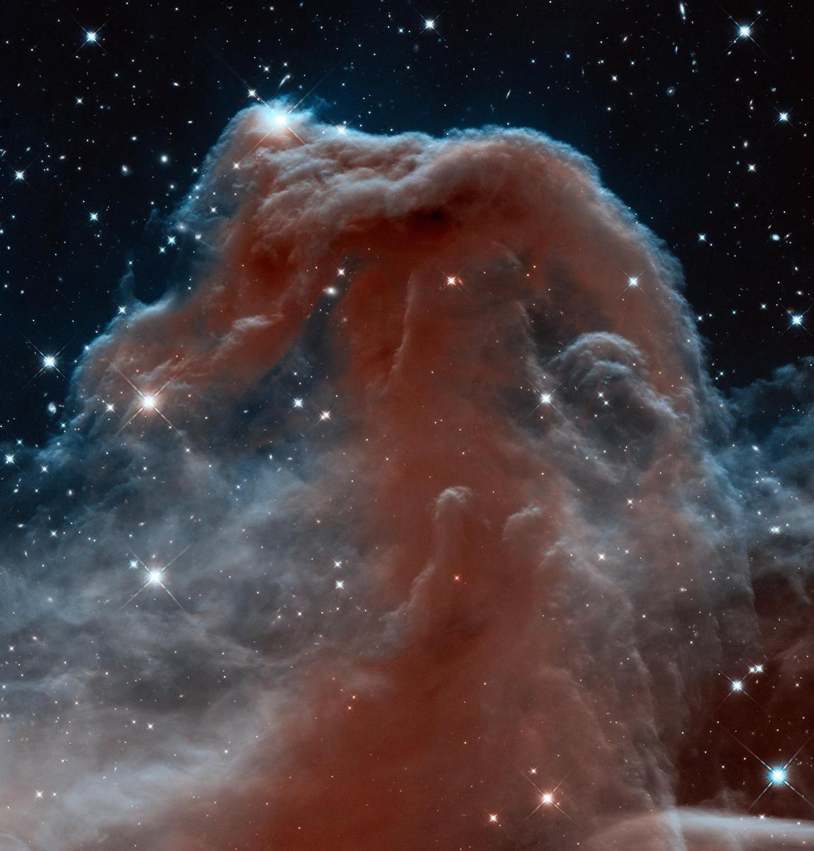 New infrared view of the Horsehead Nebul