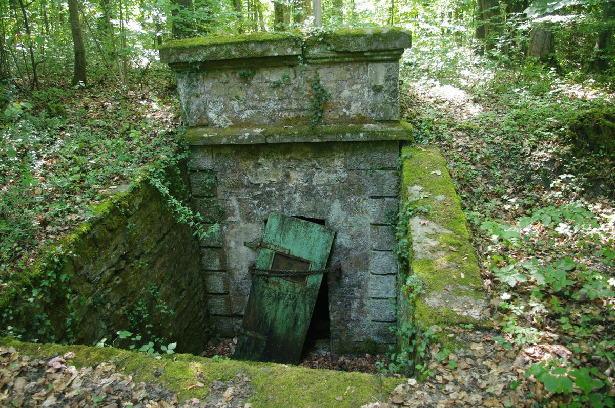 IMGP4138