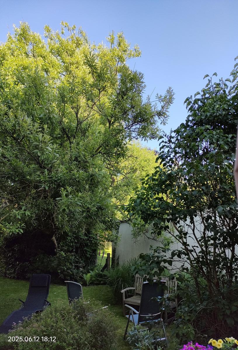 IMG 20250612 181334