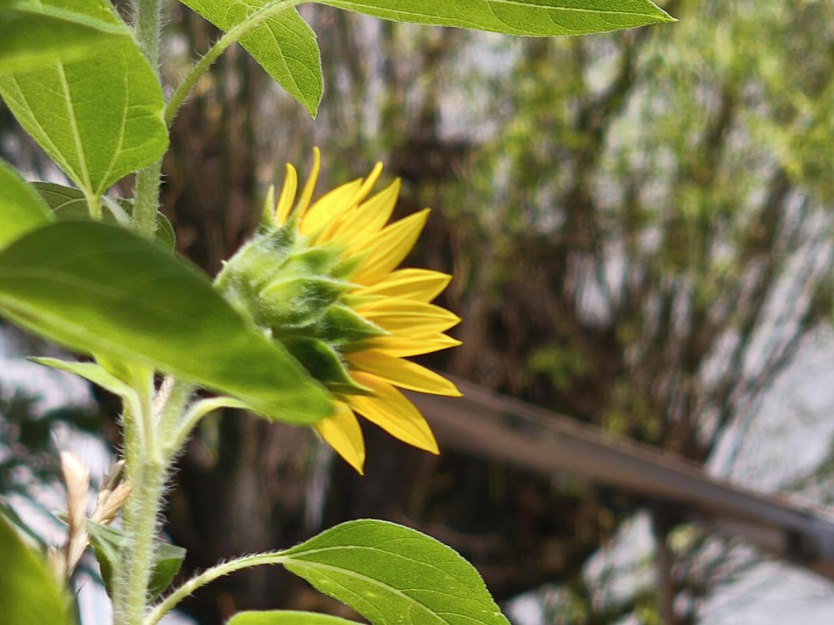 IMG 20260703 131713 1