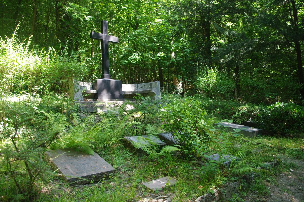 IMGP4121