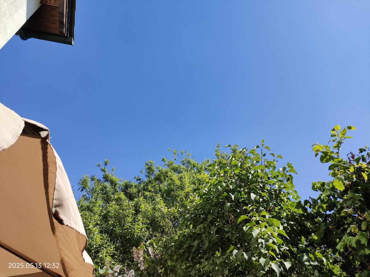 IMG20250513123241