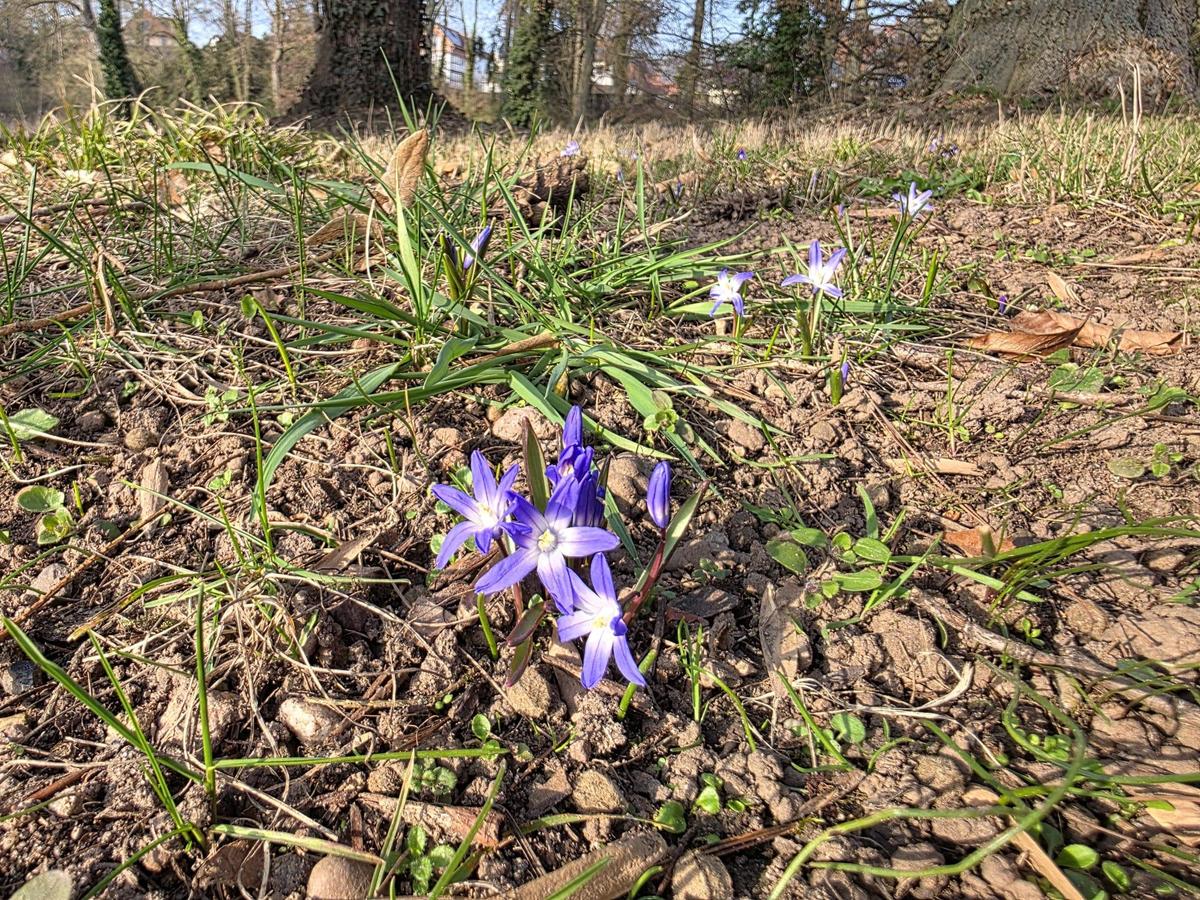 WhatsApp Image 2026-03-08 at 16.21.48 3