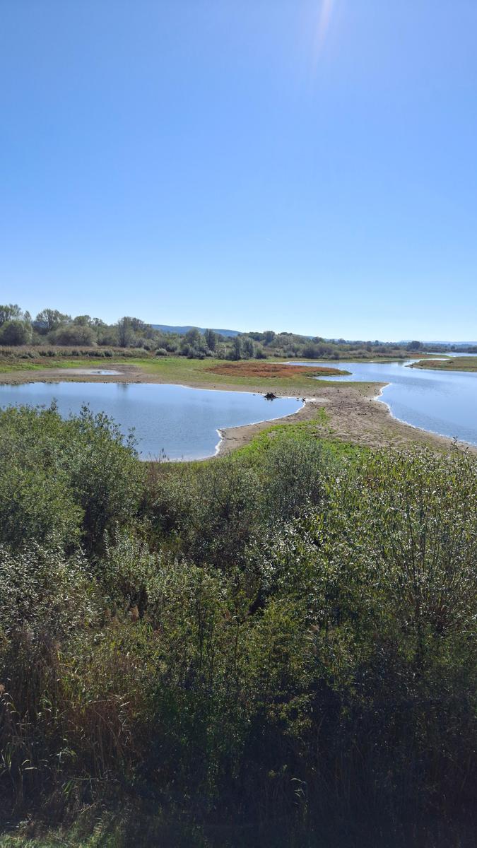 Vogelinsel 20