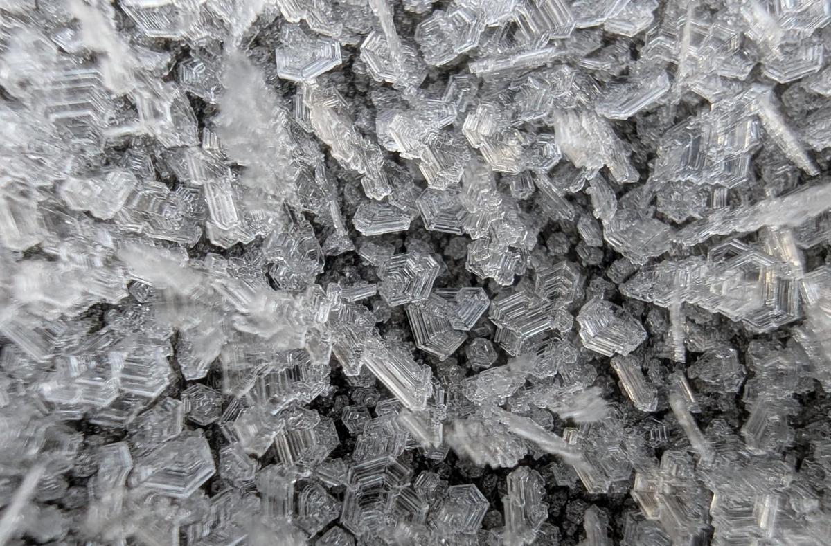 8d000a55-e551-49d2-bbe7-24ef51d8c31b cop