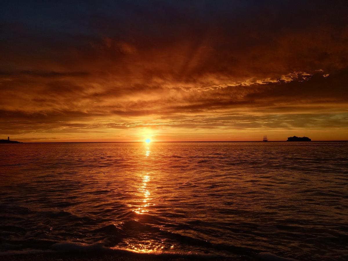 IMG 20250111 083221207 HDR