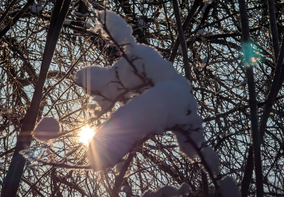 78ff27cd-2827-4ba6-9b0f-fc6082f9262f cop