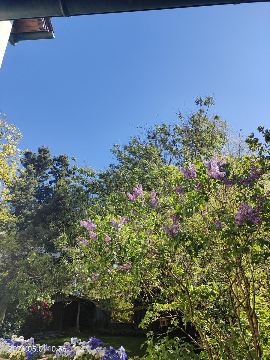IMG20260501103651