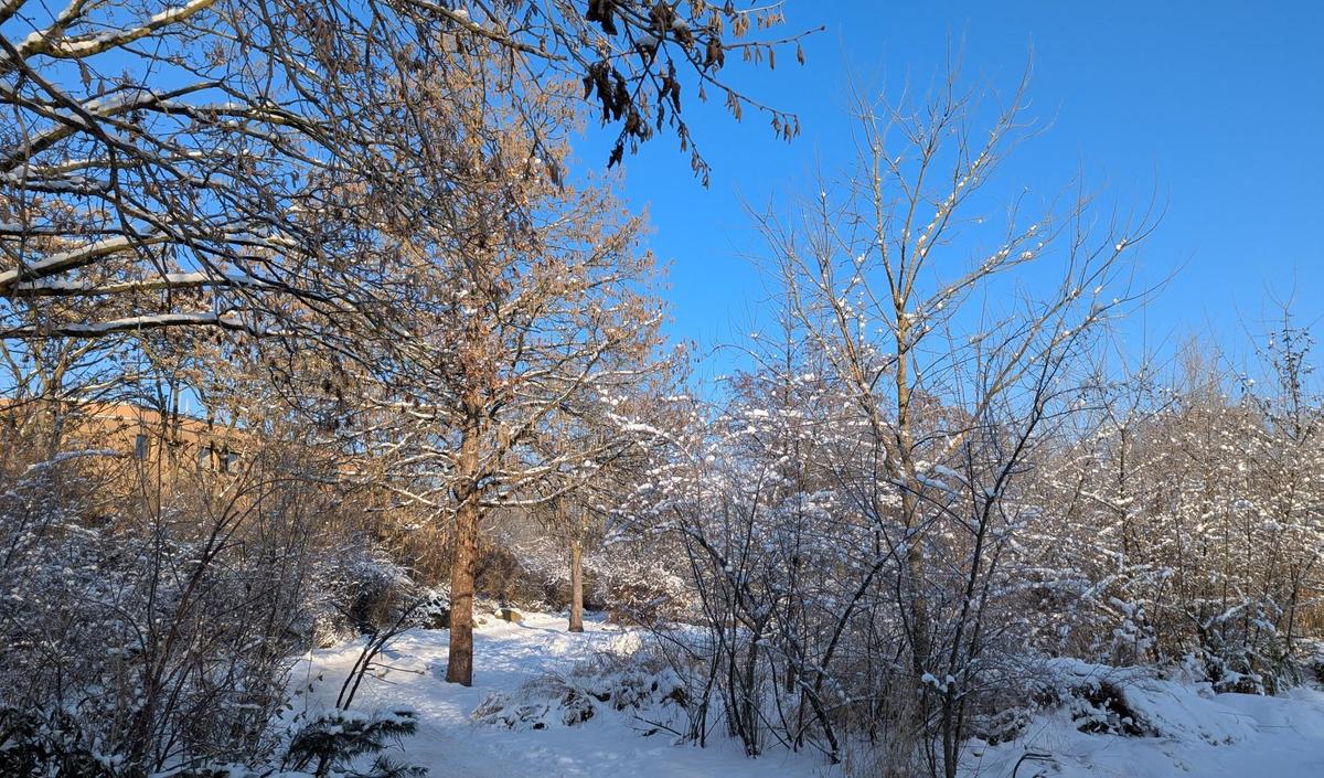 1a670fc3-690a-42eb-b08f-7b57a2e0b1fd cop