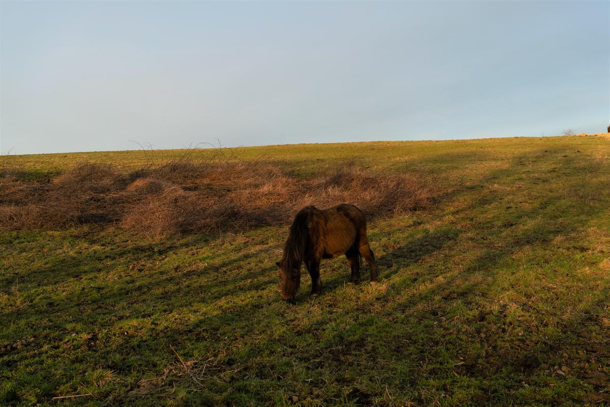 DSC01121 - Kopie 2