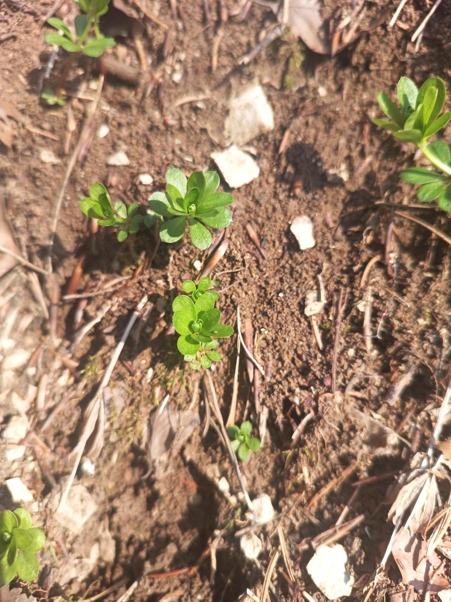 IMG 20260318 135944 979