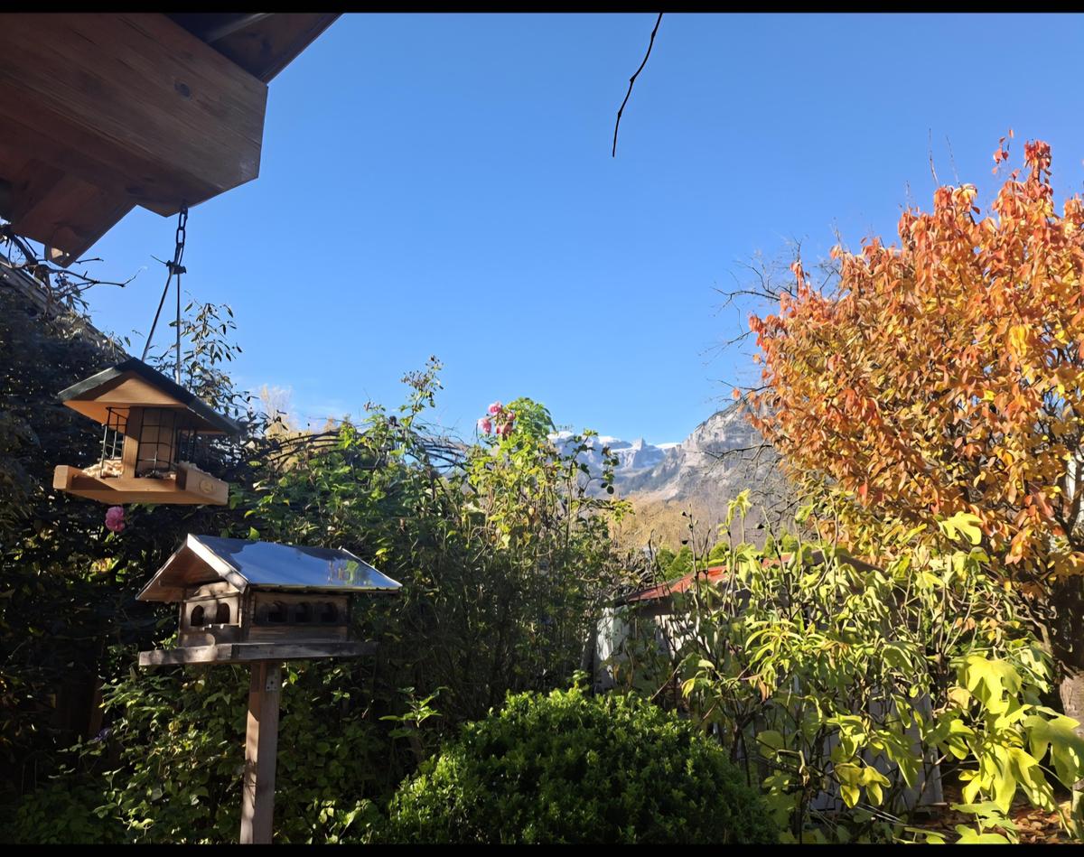 Screenshot 20251112 070947 Gallery