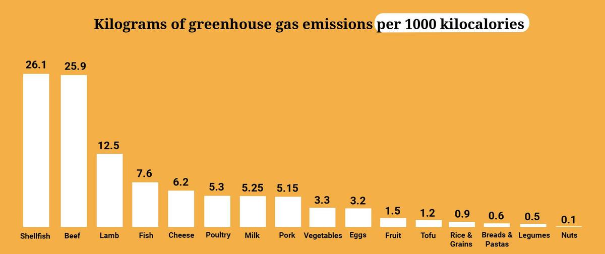 yellowchart per kilocalorien