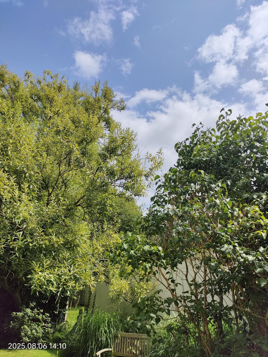 IMG20250806141026